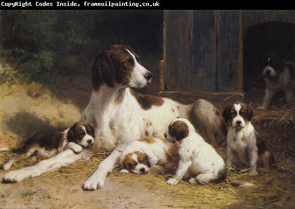 Otto Eerelman Dogs
